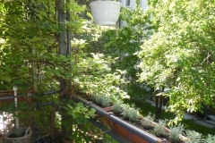 Obj.-Nr.-05220711-Balkon-Ausblick