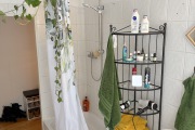 1311260702-Wannenbad-Dusche