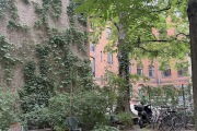 2311260702-gruener-Innenhof-mit-Sitzgelegenheiten