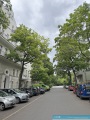 4811260801-Willmanndamm