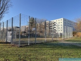 Obj.-Nr.-16250105-Fussball-Basketball