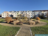 Obj.-Nr.-16250105-Sommergarten