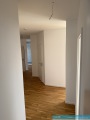 18261005-25Zi-11