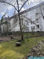 Obj.-Nr.-19260402-Gemeinschaftsgarten-zum-Haus