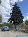 IMG_2268jpeg