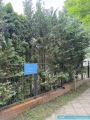 Obj.-Nr.-30250202-Grundstueck-mit-Mietshaus-Verkauf